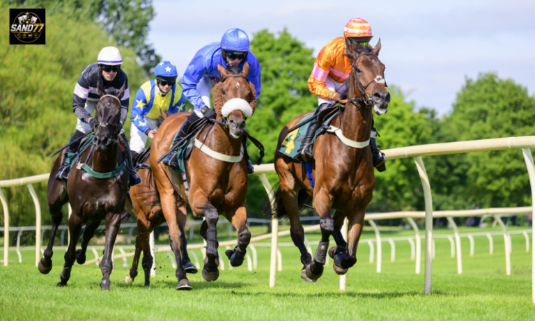Horse Racing Betting Systems